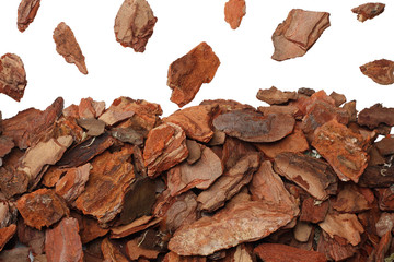 Tree bark pieces isolated on white background. top view