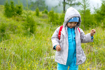 little boy in the woods with a backpack