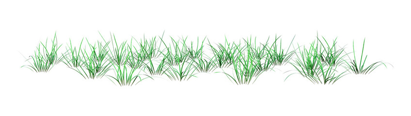 3D Rendering Green Grass on White