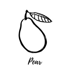 Hand drawn sketch style pear illustrations isolated on white background. Fresh food vector illustration.