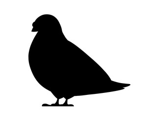 Black silhouettes. Pigeon bird sitting. Flat cartoon character design. Colorful bird icon. Cute pigeon template. Vector illustration isolated on white background
