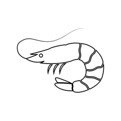 Shrimp vector icon, logo on white background