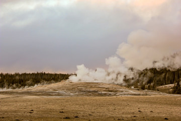 old faithful in yellowstone