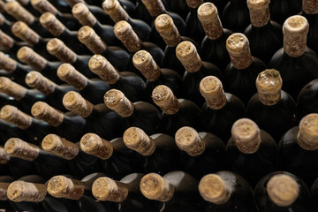 Vintage wine bottles covered in mold in a winery in Moldova Republic