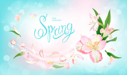 Spring collection background