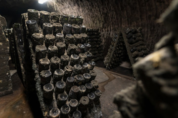 Wine cellar with old aging wine in racks covered in mold and dust