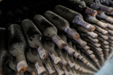 Dusty wine bottles in winery
