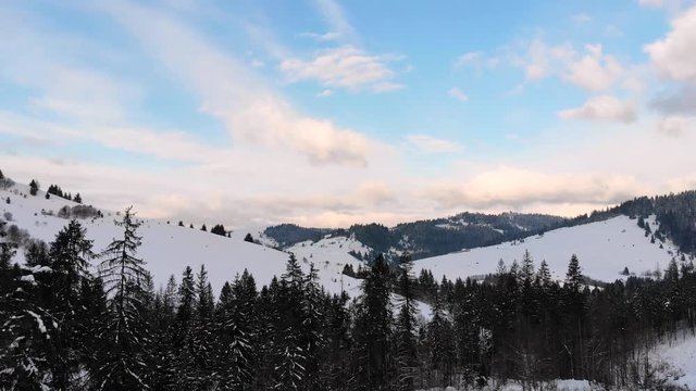 Winter in the mountains. Winter forest from a bird's eye view. Snow-covered trees in the mountains. Blue sky. Shooting on the quadcopter.