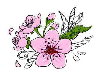 Cherry Blossom Vector Lineart Illustration. Sakura Spring hand drawn Sketch for seasonal promo, sale, romantic greeting card, poster, banner, printing. Floral pattern isolated without background