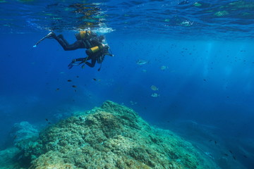 Scuba diving first dive, a man and a child look at fish underwater, Mediterranean sea, France