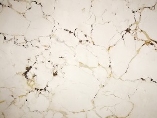 Fototapeta premium Wight marble