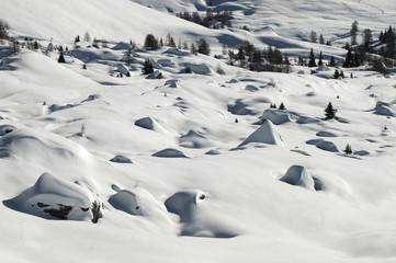 Fototapeta na wymiar Winter Scene at the San Pellegrino pass in the italian Dolomites. Val di Fiemme, Trento, Italy.