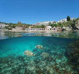 Spain coast at Calella de Palafrugell with fish underwater, Costa Brava, Mediterranean sea, Catalonia, split view half over and under water