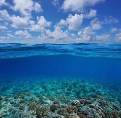 Unterwasser-Korallenriff-Meeresboden mit blauem Himmel und Wolken, geteilte Ansicht halb über und unter der Wasseroberfläche, Pazifischer Ozean, Französisch-Polynesien © dam