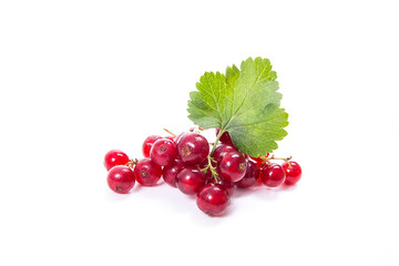 Red currant berry isolated on white. A bunch of red currant..