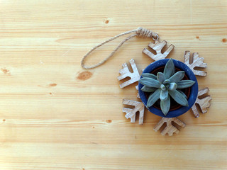 Winter Interior Decoration with Cactus