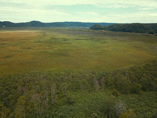釧路湿原の空撮