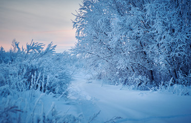 Beautiful Christmas landscape