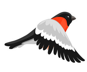 Side view of flying Bullfinch bird Flat cartoon character design. Colorful bird icon. Cute bullfinch template. Winter bird. Vector illustration isolated on white background