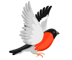 Side view of flying Bullfinch bird Flat cartoon character design. Colorful bird icon. Cute bullfinch template. Winter bird. Vector illustration isolated on white background