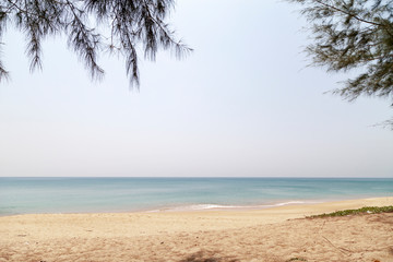 Tropical sea white sand beach with leaves frame