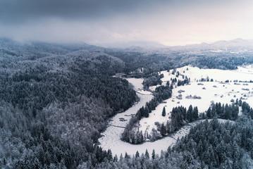 Frozen lake in Kocevska reka in Slovenia