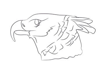 vector illustration of portrait of eagle, drawing by lines