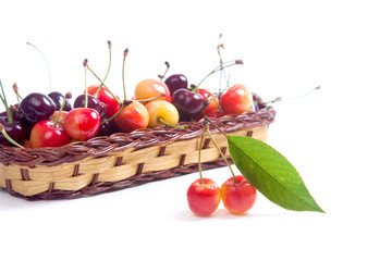 Yellow and red sweet cherry in basket with green leaf isolate on white.