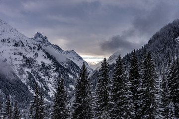 Winter landscape