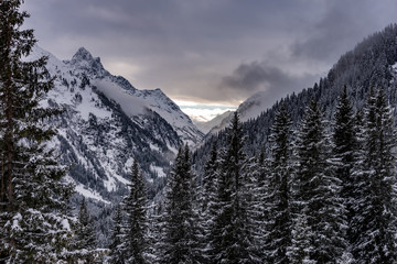 Winter landscape