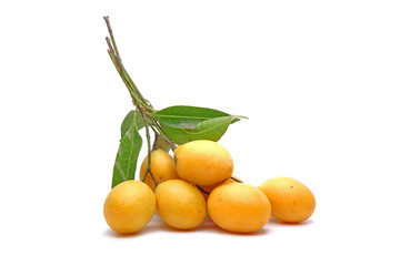 Marian plum with green leaves isolated on white background