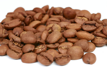 coffee beans on white background large