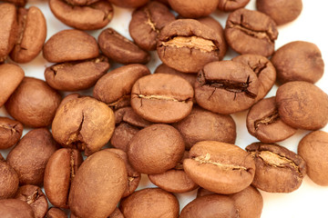 coffee beans on white background large