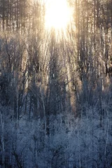 Foto auf Leinwand 霧氷と日の出 © makieni