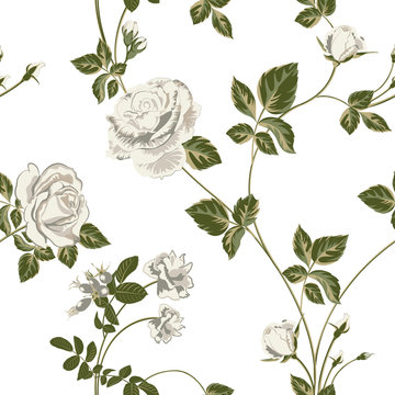 floral background with white roses flowers on white