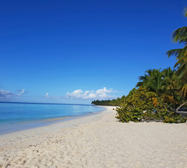 unique white sand beach in government protected nature, in saona island dominican republic, epic panorama tropical view