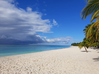 saona island paradise white sand beach with tropical nature with stormy clouds