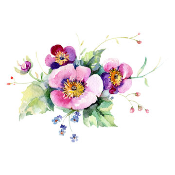 Pink rose floral botanical flower. Watercolor background illustration set. Isolated bouquet illustration element.