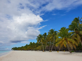 tropical jungle with white sand beach and turquoise carribean sea at saona island dominican republic