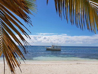boat in turquoise waters of caribbean sea view under palm leaves and white sand beach in saona island dominican republic