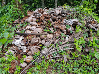 cocoa hulls used for soil additives, bunch of cocoa empty hulls
