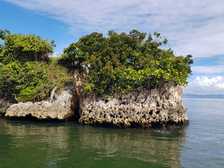 close photo of bird nest in rock, bird island dominican republic