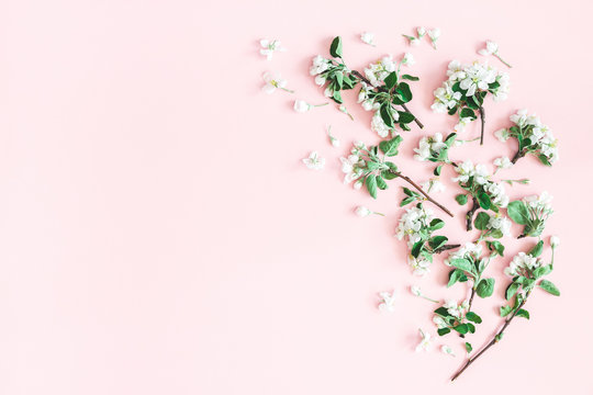 Fototapeta Flowers composition. Apple tree flowers on pastel pink background. Spring concept. Flat lay, top view, copy space