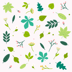 Spring flowers and leaves set. Flat design modern vector illustration concept.