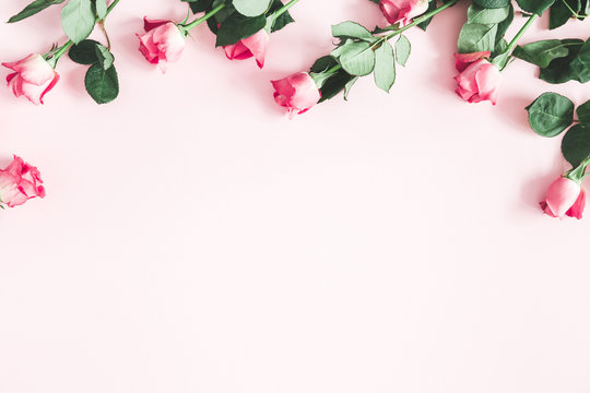 Fototapeta Flowers composition. Pink rose flowers on pastel pink background. Valentines day, mothers day, womens day concept. Flat lay, top view, copy space