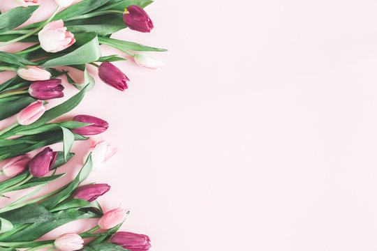 Flowers composition. Tulip flowers on pastel pink background. Valentines day, mothers day, womens day, spring, easter concept. Flat lay, top view, copy space