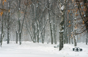 Winter Park. High drifts, snow falls. Scenic view.