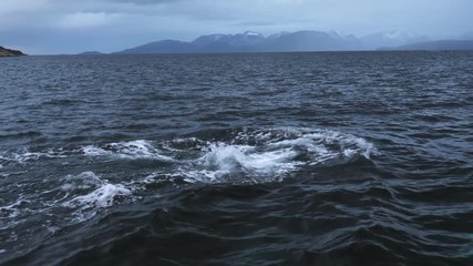 orcas and humpback whales hunting for herrings in the fjords of Norway in winter