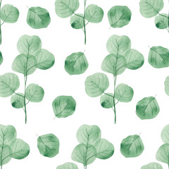 Seamless pattern with watercolorand graphic eucalyptus and ginkgo leaf ona white background