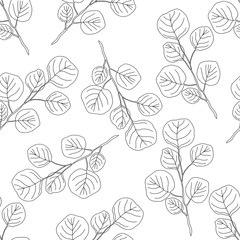 Seamless pattern with watercolorand graphic eucalyptus and ginkgo leaf ona white background